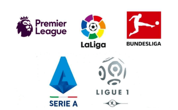 医疗保险已 医疗保险已